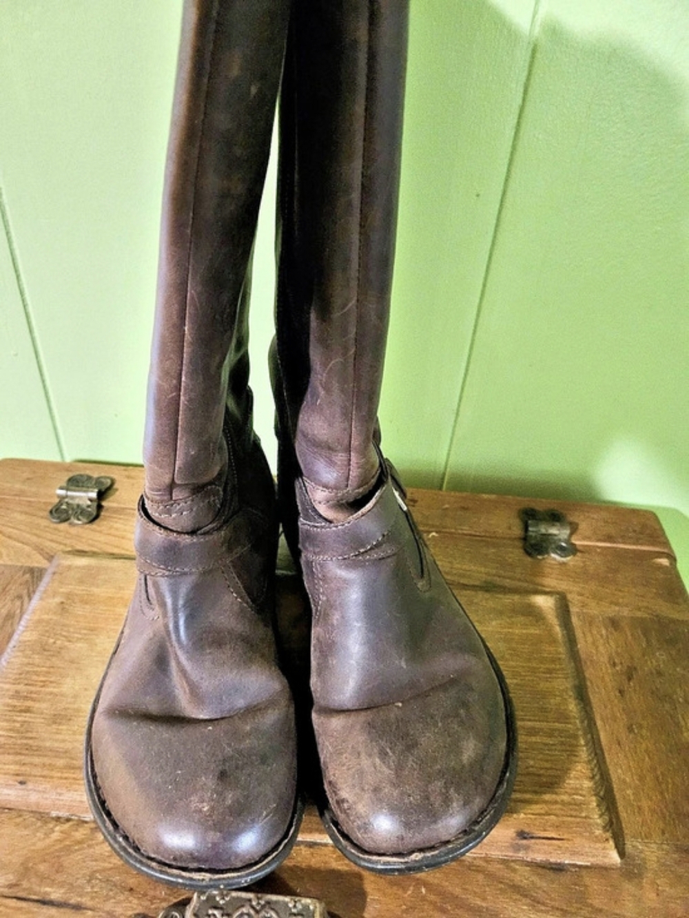 UGG Kensington Moto Boot Brown Tall Buckle Boots